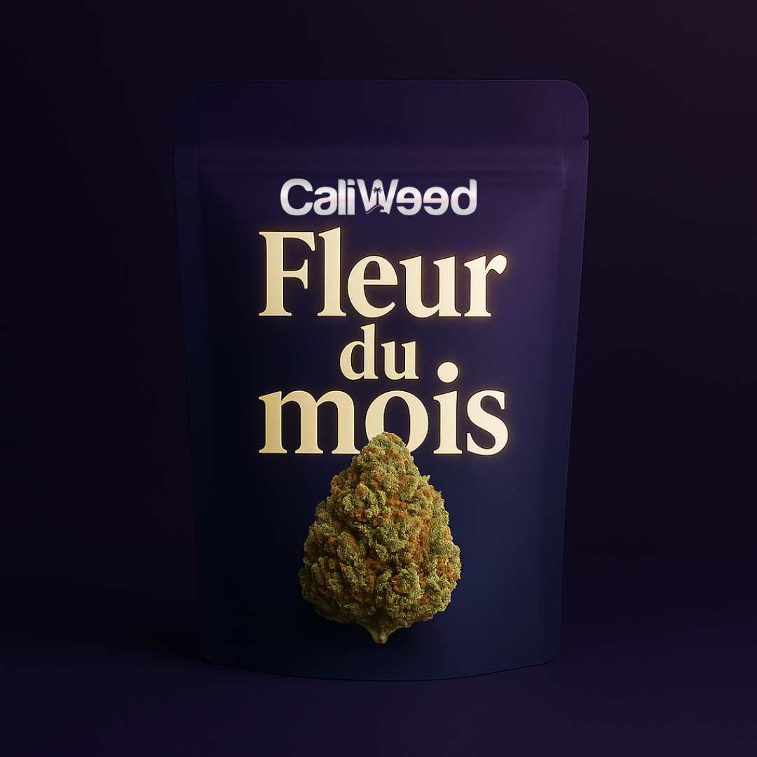 Fleur du mois CBD