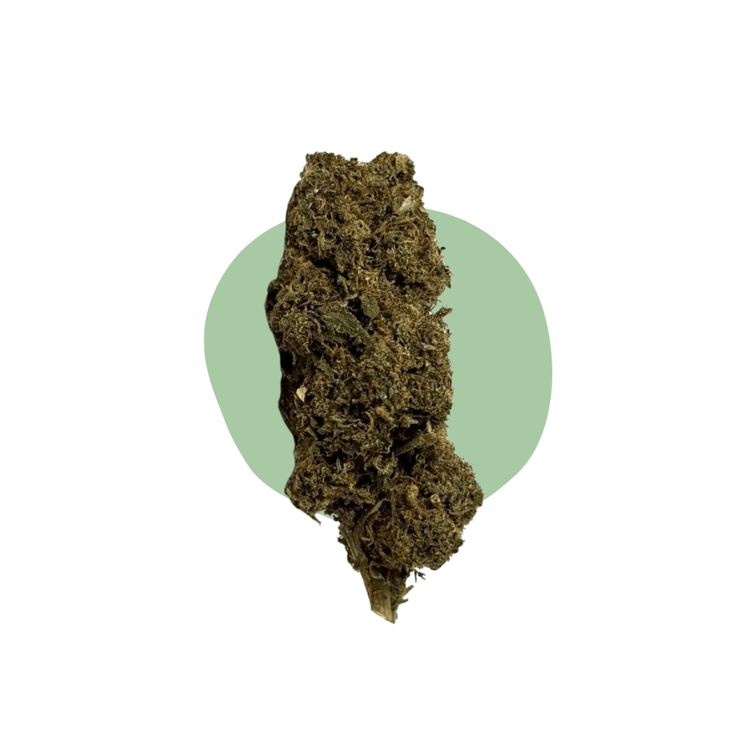 Amnesia 10-OH-HHC