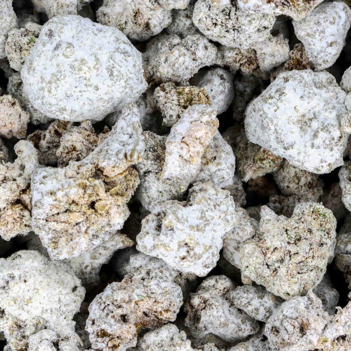 Ice Rock Small Buds