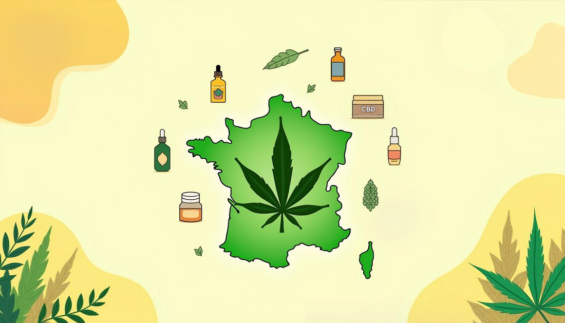 Le CBD en France