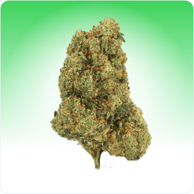 Purple Haze Cryo | Mini Buds Indoor 19% CBD | Qualité Premium