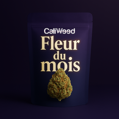 Fleur du mois CBD