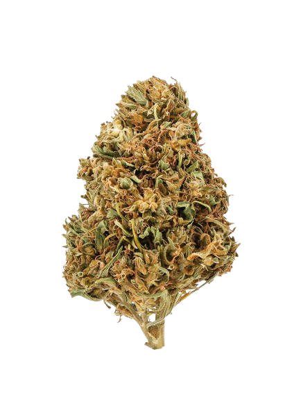 Watermelon CBD