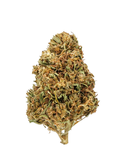 Watermelon CBD