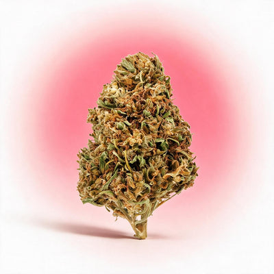 Watermelon CBD