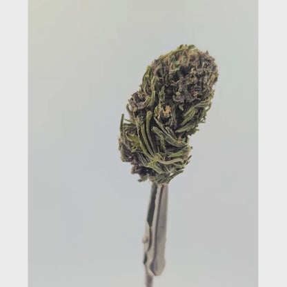 Purple Haze CBD