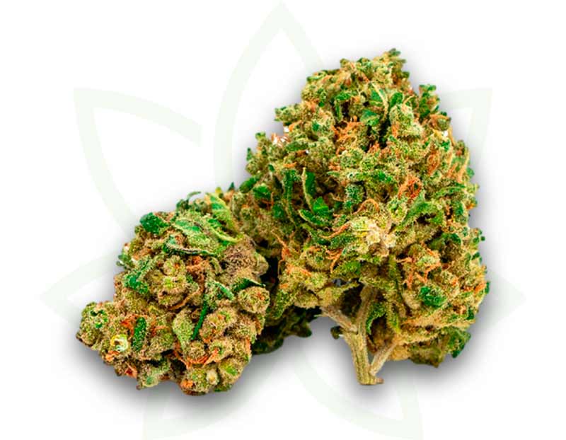 fleur cbd nyc diesel indoor 3 5 10 20 50 grammes mafrenchweed 1